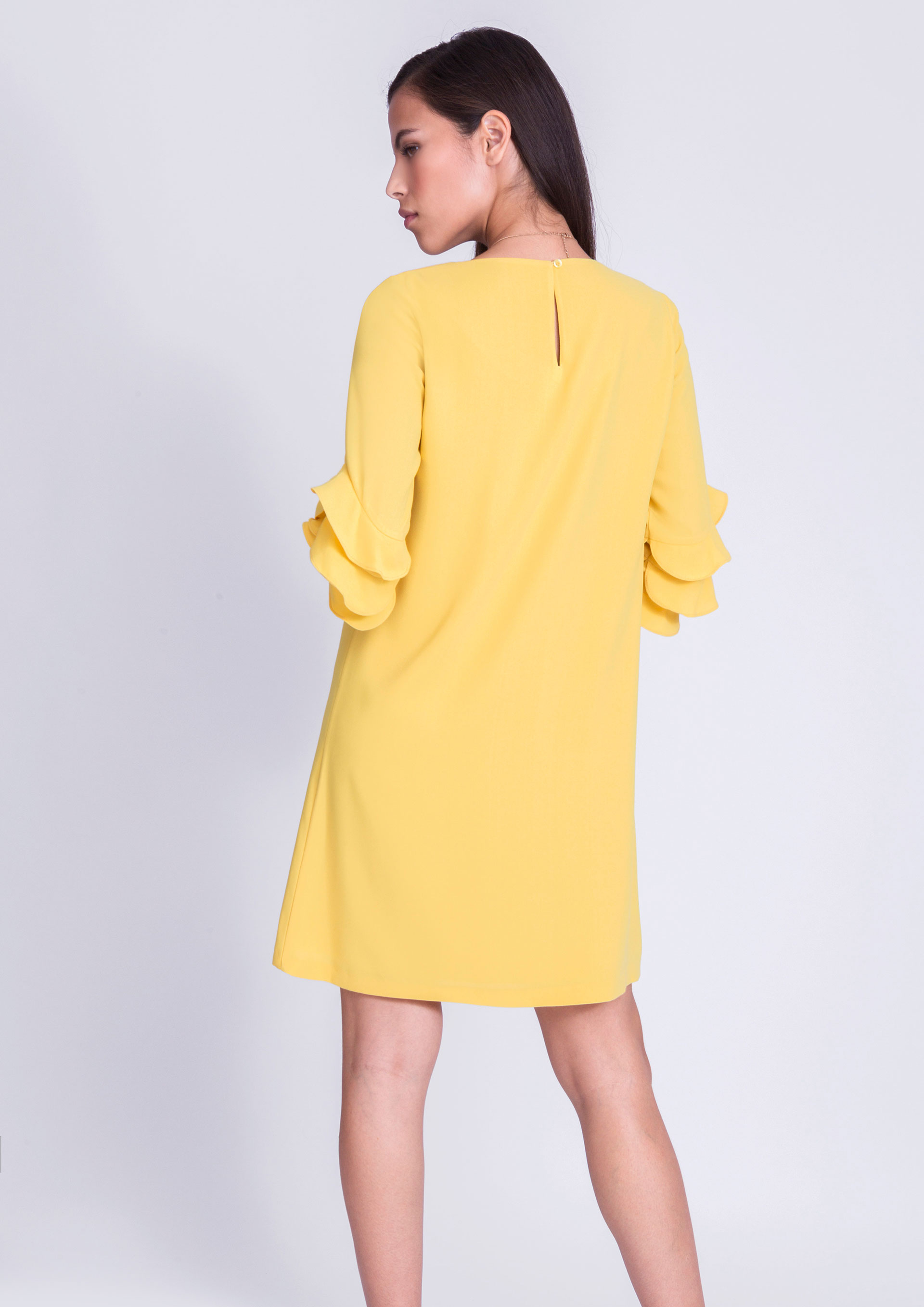 frill sleeve frock