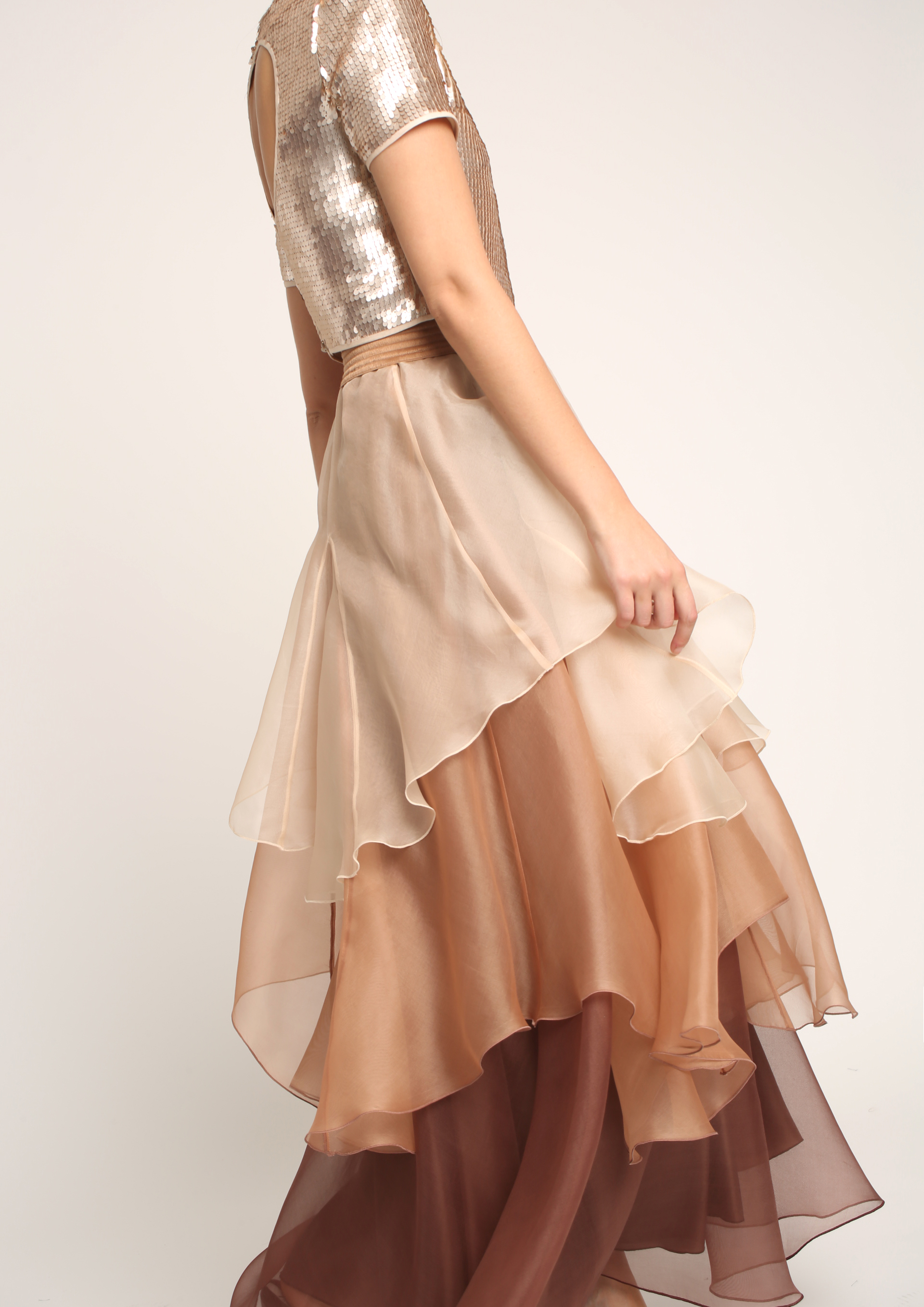 Organza Top and Silk Skirt